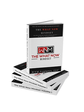 The What Now Mindset